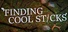Finding Cool Sticks