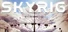 SkyRig