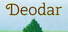 Deodar