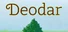 Deodar