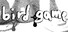 Bird Game