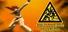 Exploding Judo Federation