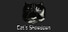 Cat's Showdown
