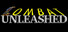 Combat Unleashed