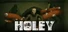 Holey