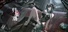 归龙潮