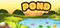 Pond