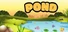 Pond