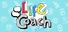 Life Coach
