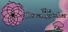 The Dreamcatcher