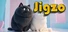 Jigzo