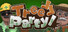 Tree Party!