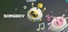 SONGBOY: Play Music