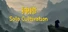 Solo Cultivation 独修