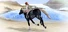 Sound of Horses