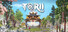 Torii