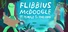 Flibbius McDoogle and the Temple of the Toad King