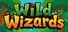 Wild Wizards