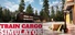 Train Cargo: NightShift