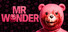 Mr Wonder