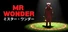 Mr Wonder