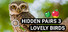 Hidden Pairs 3: Lovely Birds - Hidden Objects