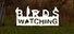 Birds Watching