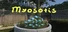 Myosotis