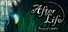 After Life - Story of a Father