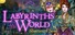 Labyrinths of the World: Shattered Soul Collector's Edition