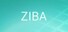 Ziba