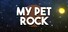 My Pet Rock