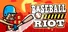 Baseball Riot