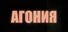 The Agony