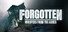 Forgotten - Whispers From Ashes