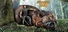 Dinosaur Zoo VR : Dinosaur Hunting