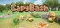 CapyBash