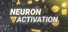 Neuron Activation