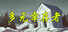 多元幸存者 Diverse survivors
