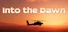 Gunship Origins
