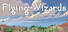 Flying Wizards