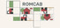 Romcab Puzzle
