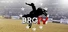 Bull Riding Challenge 4
