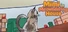 Mimi in Meowndering House