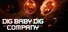 Dig Baby Dig Company
