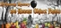 Halloween Mystery: 100 Hidden Object Fruits
