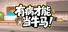 有病才能当牛马 NullKitchenException
