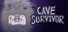 Cave Survivor