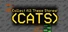 Collect All These Stones! (CATS)