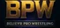 Believr Pro Wrestling